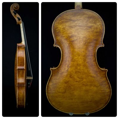 Boden und Bass-Seite Viola 2019